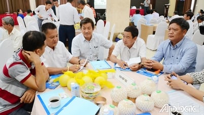 Actively support cooperatives to promote trade and expand consumer markets.