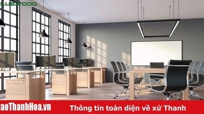 Bluewood - Đơn vị thi công nội thất biệt thự & văn phòng hàng đầu
