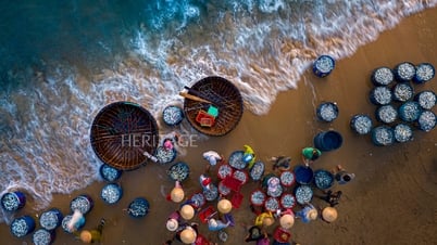 Visit Tam Tien fish market at dawn
