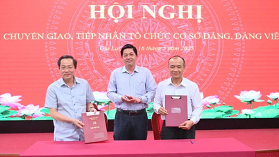 Gia Lai: Transferring the Provincial Radio and Television Station Party Committee to the Provincial Party Committees
