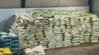 Giá phân bón hôm nay 16/5: Tăng mạnh tại Đông Nam Bộ và Tây Nguyên