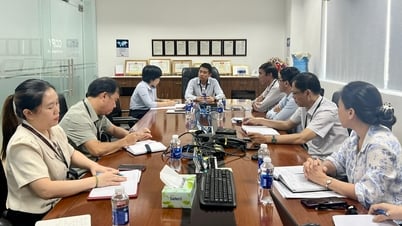 Grasp information, promptly remove difficulties for export enterprises
