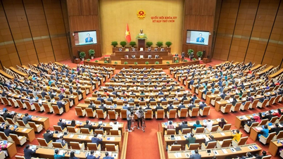L'Assemblée nationale discute des mécanismes et des politiques de développement économique privé