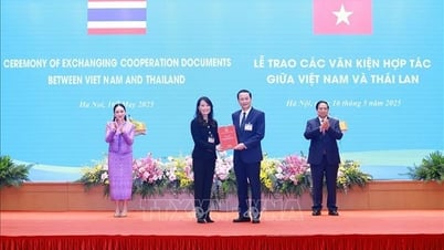 The Prime Ministers of Vietnam and Thailand witnessed the ceremony of handing over cooperation documents.