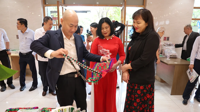 Many typical agricultural products of Cao Bang seek opportunities to connect in Ho Chi Minh City