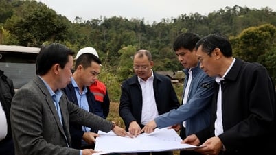Vùng cao sáng bừng ánh điện