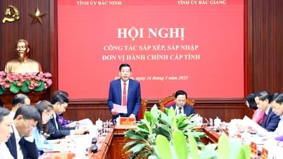 Tiếp tục tập trung thực hiện nhiệm vụ sắp xếp tổ chức bộ máy, sáp nhập đơn vị hành chính cấp tỉnh