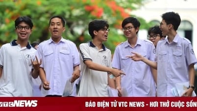 طالب انطوائي، جيد في الكتلة أ، أي تخصص يجب أن يختار للحصول على راتب مرتفع؟