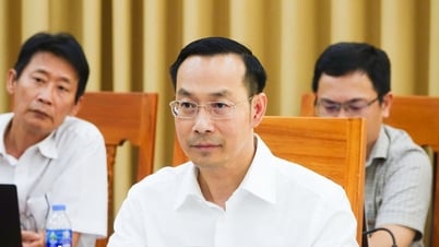 Together, let's make Phu Quoc a model of 'green island - smart city - zero emissions'