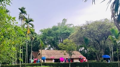 Về thăm quê Bác