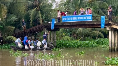 Thả giống thủy sản tái tạo nguồn lợi thủy sản