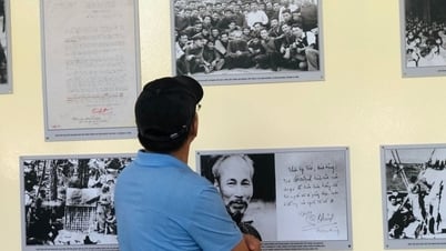 تقدم العديد من المتاحف في مدينة هوشي منه دخولاً مجانيًا في عيد ميلاد العم هو.