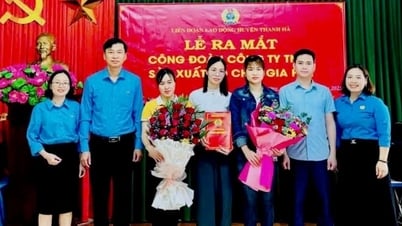 Hải Dương kết nạp thêm hơn 5.000 đoàn viên công đoàn