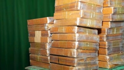 Quang Nam: Detenido un sujeto que transportaba 14,3 kg de drogas a través de la frontera