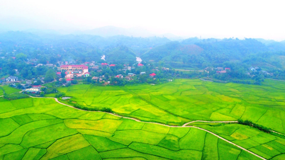 Vẻ đẹp của những "vựa lúa" nhìn từ trên cao