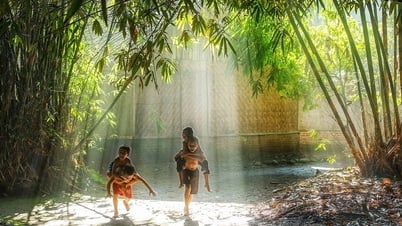 Những sáng hè trong trẻo