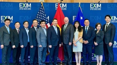 Vietnam y Estados Unidos promueven relaciones económicas y financieras basadas en una asociación integral - Periódico y radio y televisión Lang Son