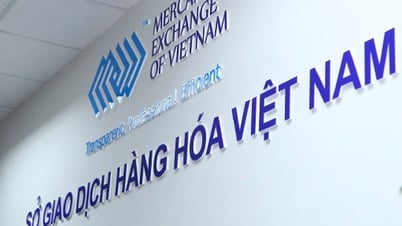 ការផ្លាស់ប្តូរទំនិញ និងតួនាទីរបស់ខ្លួនក្នុងការកសាងទីផ្សារប្រកបដោយតម្លាភាព យោងតាមសេចក្តីសម្រេចចិត្តលេខ ៦៨