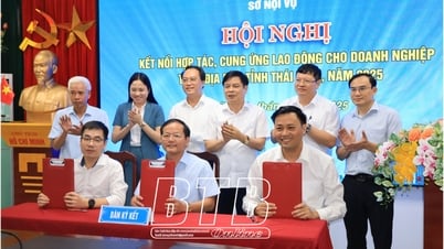 Tăng cường kết nối hợp tác, cung ứng lao động cho doanh nghiệp trên địa bàn tỉnh