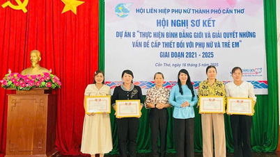 Sơ kết dự án thực hiện bình đẳng giới và giải quyết các vấn đề đối với phụ nữ, trẻ em