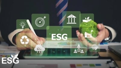 La ESG ya no es un accesorio de moda sino una cuestión de supervivencia.