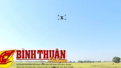 Tiềm lực khoa học và công nghệ của tỉnh từng bước được tăng cường