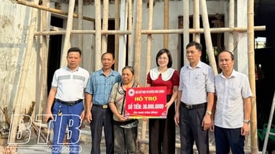 Hội Chữ thập đỏ huyện Kiến Xương xóa 18 nhà tạm, nhà dột nát