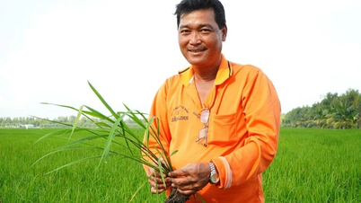 Tuấn 'hai lúa' và hành trình thành 'Tuấn tỉ phú' trên cánh đồng 500 ha