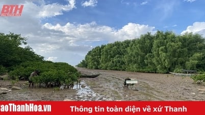 Рыболовство на аллювиальных землях