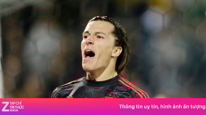 Real Madrid ចំណាយ 50 លានអឺរ៉ូដើម្បីទិញអតីតខ្សែការពារ MU