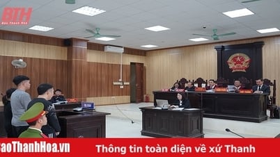 Nâng cao chất lượng xét xử, thi hành án hình sự