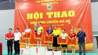 Tòa án nhân dân tỉnh Trà Vinh tổ chức hội thao Cụm thi đua số IX
