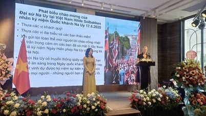 Vietnam-Norvège : coopération verte, avenir vert