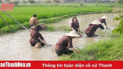 Verbessern Sie das Erlebnis für Touristen, wenn sie nach Thanh Hoa kommen