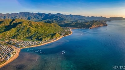 Khám phá vùng savan ở Vườn quốc gia Núi Chúa