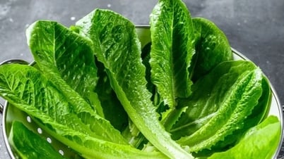 „Effektive Helfer“ in der täglichen Ernährung helfen, den Blutdruck zu senken