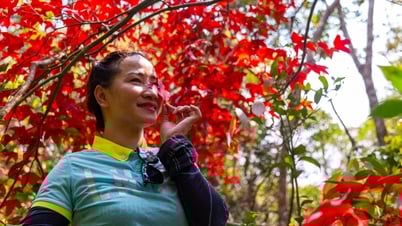 There will be a tour to see bell-shaped peach blossoms and a magical moss forest on the 'rooftop' of Quang Tri