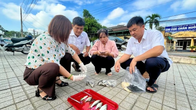 ត្រីងាប់នៅប្រឡាយ Tay Ninh ទៀតហើយ