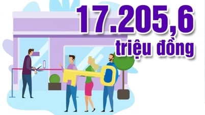 17,205.6 million VND - is the budget for implementing the Housing Support Project for people with revolutionary contributions and martyrs' relatives in the province in 2025.
