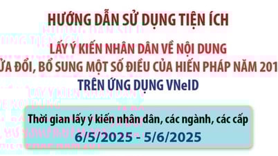 Hướng dẫn người dân góp ý sửa đổi Hiến pháp năm 2013 qua VNeID