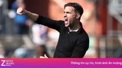 Europe 'boiling' over Fabregas
