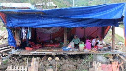 Efforts to overcome the consequences of natural disasters