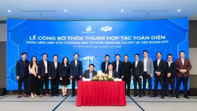 Saigon Co.op cooperates with FPT for comprehensive digital transformation