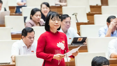 Phát triển kinh tế tư nhân: Nếu hậu kiểm không đủ mạnh, “công ty ma” sẽ lợi dụng