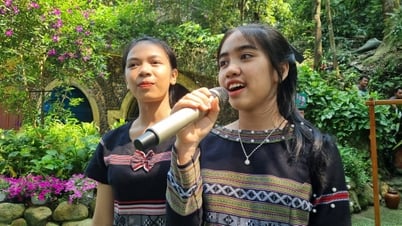 Proposal to include hat ta leu and ca choi in the list of national intangible cultural heritage