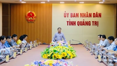 Quảng Trị rà soát tiến độ chuyển đổi đơn vị sự nghiệp công lập thành công ty cổ phần