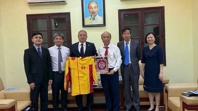 Strengthening cooperation programs between the Chess Federations of Vietnam and Azerbaijan