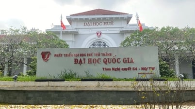 Danh sách thành viên Hội đồng Giáo sư cơ sở của Đại học Huế gây xôn xao