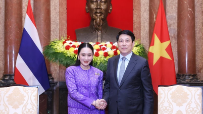 Chủ tịch nước: Thúc đẩy hợp tác Việt Nam - Thái Lan ngày càng thực chất, hiệu quả