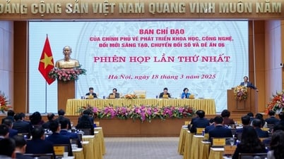 Thành lập Ban Chỉ đạo của Chính phủ về phát triển khoa học, công nghệ, đổi mới sáng tạo, chuyển đổi số và Đề án 06 mà